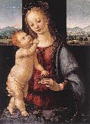 LORENZO DI CREDI Madonna and Child with a Pomegranate Germany oil painting artist